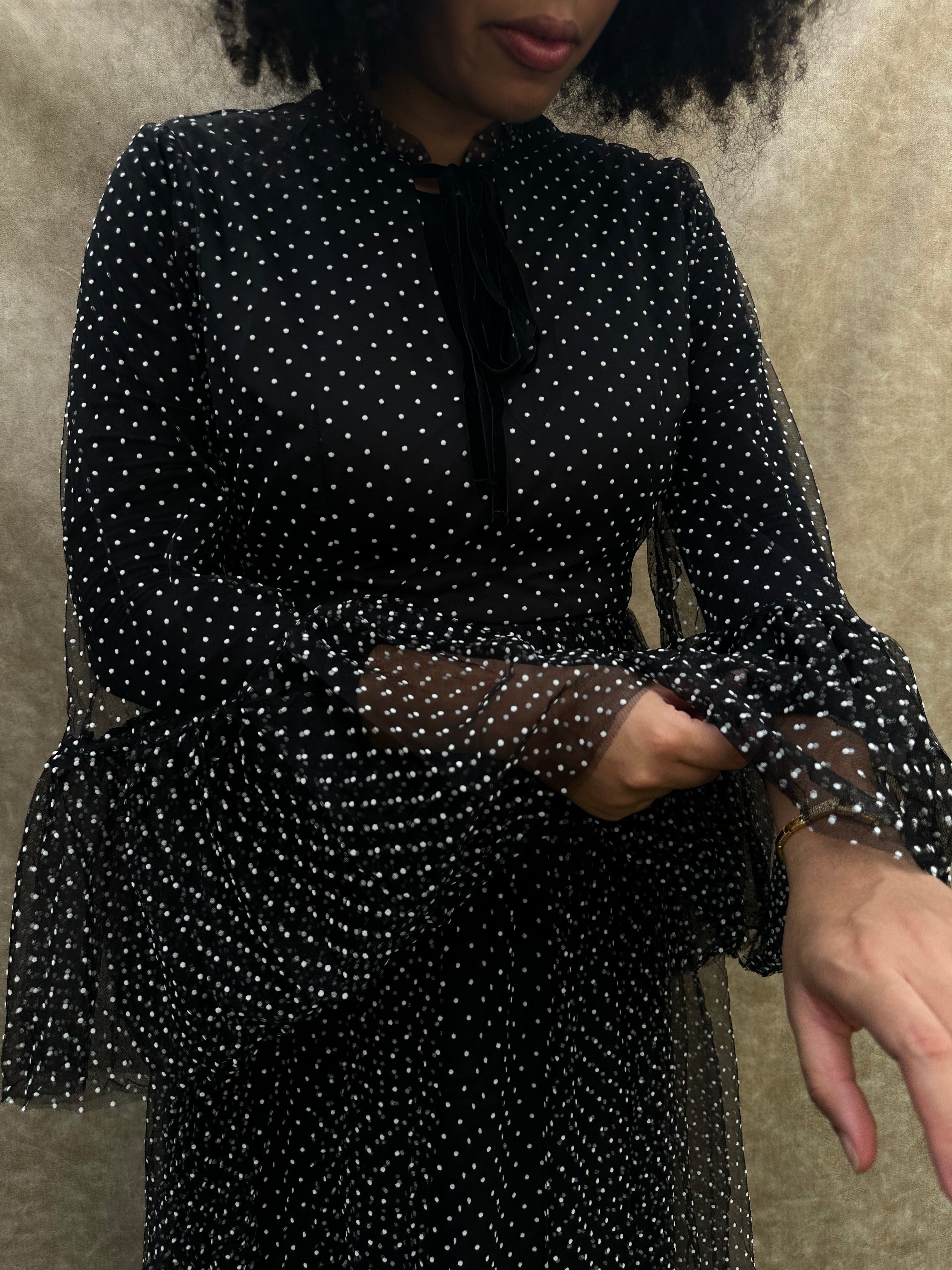 Dottie Mesh Maxi Dress